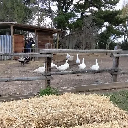 Apartamento Heaven Trilocale 2 *