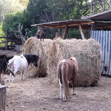 Heaven Trilocale 2 리카디